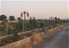 1000 متر باغچه در بکه شهریار